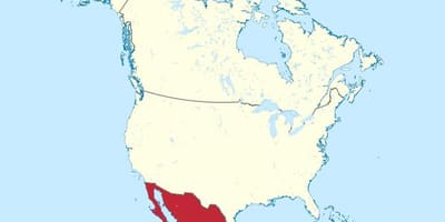 Meksika və Amerika xəritəsi