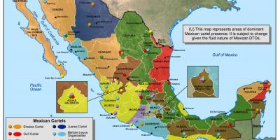 Meksika cartel xəritə